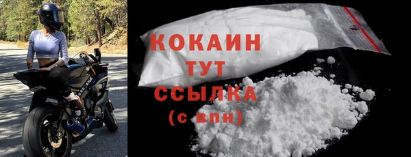 крисы Магадан